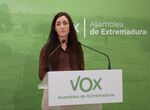 Vox Si flujo actual de MENAS sigue perjudicados sern extremeos que necesitan amparo