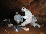 Proyecto arqueolgico revela que ADN humano puede preservarse en las paredes de las cuevas