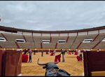 Diputacin Badajoz oferta cuatro becas alojamiento para alumnos de Escuela de Tauromaquia