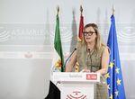 PSOE exige a la Junta que trabaje para que Extremadura converja con Espaa