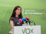 Vox no va a permitir que Gobierno imponga repartos unilaterales de menores migrantes
