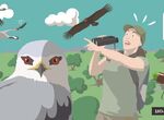 Extremadura se promociona como destino de turismo ornitolgico en la Global Birdfair 