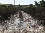 Gobierno abona 48 millones a agricultores y ganaderos por los daos de las borrascas