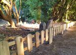 El Jardn Botnico de Coria inicia un proyecto de musealizacin