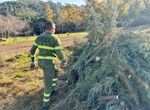 La Junta constituye las bolsas de empleo de las categoras de Bombero Forestal