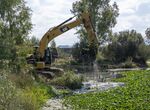 CHG contrata la 2 fase del proyecto de control del nenfar mejicano en Badajoz por 143M