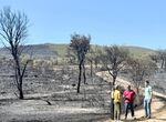 Diputacin Cceres colaborar en recuperar zonas de incendio de Mirabel y Casas de Milln