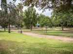 Trabajos de mejora del Ayuntamiento en Parque de la Argentina tras daos por borrascas