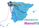 Extremadura estar en 1er estudio espaol para predecir riesgo personalizado cncer mama