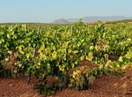 Clygal y Apag suscriben acuerdo para defender un precio justo por la cosecha de cava