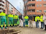 Nueva campaa de plantacin de rboles y arbustos en diferentes zonas de Cceres