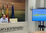 Junta controla brotes brucelosis y confirma caso aislado lengua azul que no genera alarma