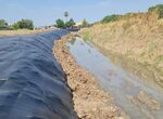 CHG culmina eliminacin de la caa comn en el arroyo Albarregas a su paso por Trujillanos