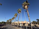 PSOEBadajoz ve insuficiente informacin arbolado afectado obras parking Circunvalacin