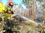 El Plan Infoex intervino en 19 incendios forestales en la ltima semana