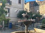 El Ayuntamiento de Coria licita un servicio de control poblacional de palomas