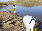 CHG finaliza retirada de peces tras el episodio de mortandad en el embalse de Los Molinos