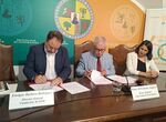 UEx y Fundacin Accem crean la Ctedra de Derechos Humanos e Inclusin Social 
