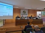Ctedra Telefnica UEx cumple dcada en los Cursos Internacionales de VeranoOtoo