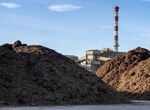Magnon operar una planta de biomasa de Transa en Villanueva de la Serena