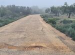 Junta autoriza arreglo y mejora en 3 caminos rurales de Pinofranqueado Talayuela y Cheles