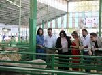 PSOE extremeo reclama a Guardiola que cese al consejero de Agricultura por incompetente