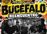 El CineBeat de Mrida clausurar su tercera edicin con el reencuentro de Bucfalo