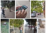 Municipios extremeos se suman a iniciativa para detectar problemas sobre arbolado urbano