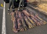 Dos detenidos cuando circulaban con 600 kilos de cobre robado en Hinojal