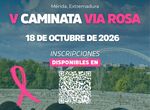 La Polica Local de Mrida realizar cortes puntuales de trfico en V Caminata Va Rosa