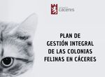 El Ayuntamiento de Cceres invierte ms de 60000 para mejorar las colonias felinas