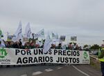 La Unin se manifiesta en Mrida para pedir a Guardiola ayudas para la aceituna de mesa 