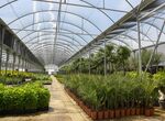 Hasta 4 noviembre ayuntamientos pueden pedir plantas al Vivero Provincial de Badajoz 