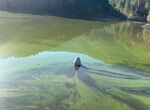 PSOE de Nuomoral denuncia que ayuntamiento no solucione problemas en el agua potable
