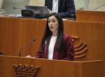 Vox acusa al PSOE de hacer un ejercicio de pereza poltica con presentacin de enmienda