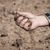 Transicin Ecolgica celebra jornadacoloquio online sobre sequa y abastecimiento urbano