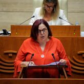 La Asamblea convalida decreto para la reactivacin econmica en materia de edificacin 