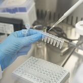 Publicada primera convocatoria ayudas a grupos investigacin de Extremadura por 5 millones