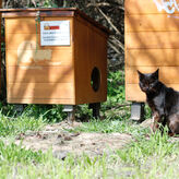 Ayuntamiento de Mrida replica a Ageco y dice haber actuado con control ante crecida ro