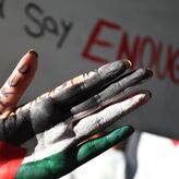 Junta preocupada por situacin en Gaza y PSOE le reclama respuestas extraordinarios