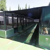 Licitada dotacin alimentos y material al Centro Proteccin y Unidad Canina Polica Local