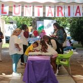 Ayuntamiento Mrida aprueba el convenio y la subvencin con la Plataforma del Voluntariado
