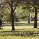 El Ayuntamiento de Mrida inicia una campaa de desbroces progresiva en las barriadas