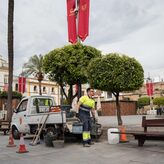 Dispositivo limpieza para Semana Santa en Mrida contar con baldeos diarios en recorridos