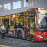 Los autobuses urbanos en Mrida vuelven a circular por la avenida de Extremadura 