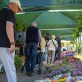  Gran acogida y numeroso pblico en el II Mercado de las Flores celebrado en Mrida