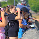 Mrida ofrece charlas talleres rutas y exposiciones por el Mes de las Aves