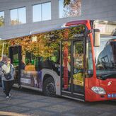 Los vecinos de Proserpina reclaman vuelta lnea bus urbano sin servicio desde la pandemia