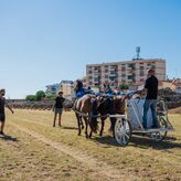 Circo Romano de Mrida escenificar este jueves representacin de una carrera de cudrigas