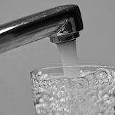 El SES ha ido certificando a diario que el agua de Mrida es apta para el consumo 